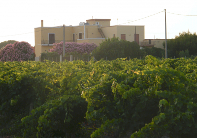 Casa Vacanze L'oleandro Rosso